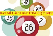 Bật mí 3 cách bắt tổng đặc biệt khi chơi lô đề miền Bắc