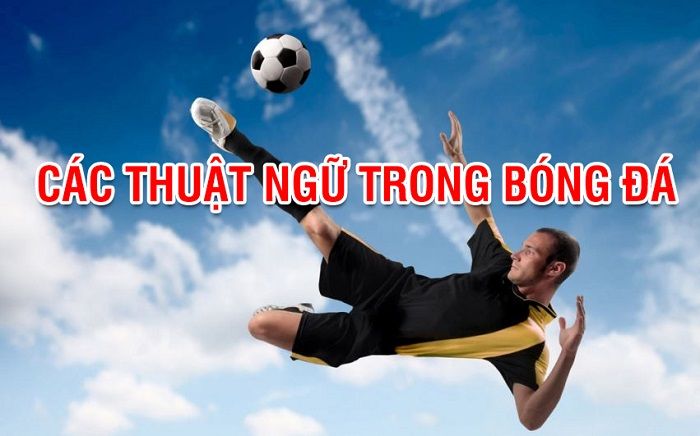 Tìm hiểu các thuật ngữ trong bóng đá được dùng phổ biến nhất