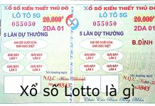 xổ số lotto là gì