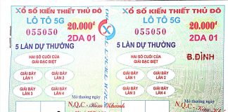 xổ số lotto là gì