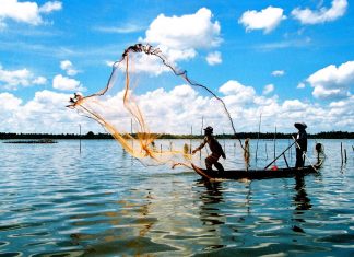 mơ thấy sông nước đánh con gì