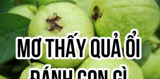 mơ thấy quả ổi đánh con gì