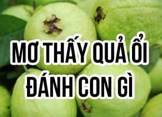 mơ thấy quả ổi đánh con gì