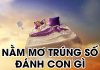 nằm mơ trúng số đánh con gì