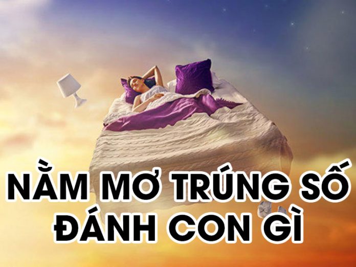 nằm mơ trúng số đánh con gì